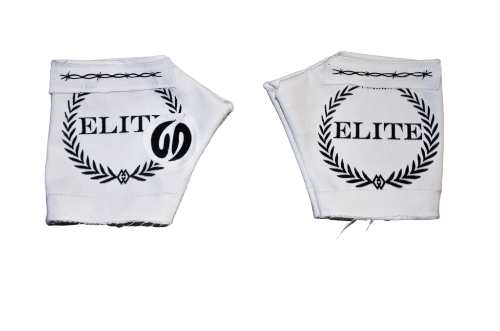 ASH XXI ELITE GLOVES